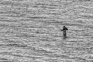 Ein Angler steht mit wasserdichtem Thermoanzug auf einer Sandbank bis zu den Knien im Meer.